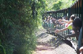 Tren ecológico de la selva Parque Nacional Iguazú